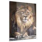 king lion with lighted face animal art print on canvas PT7166