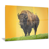 Lone Bison- Animal Canvas Print PT2326
