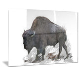 Migrating Bison- Animal Canvas Print PT2333