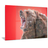 Beware of the Bear - Animal Canvas Print PT2344