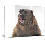 Fierce Grizzly- Animal Canvas Print PT2345