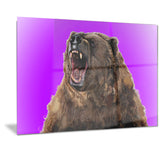 Fierce Grizzly - Animal Canvas Print PT2348