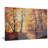 Forest in Autumn Landscape Canvas Artwork