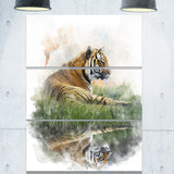 relaxing tiger animal canvas artwork PT6052