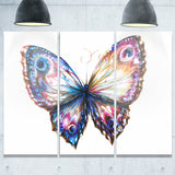 isolated butterfly animal canvas art print PT6165