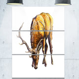 male deer illustration art animal canvas print PT6191
