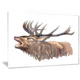 deer head illustration art animal canvas print PT6196