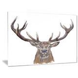 deer head in front illustration animal canvas art print PT6209