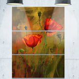 watercolor poppy flowers floral canvas art print PT6216