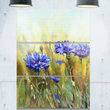 cornflowers in full bloom floral canvas art print PT6221