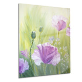 purple poppies in morning floral canvas art print PT6277