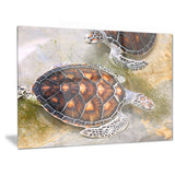 sea turtles in nursery animal canvas print PT6319