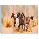herd gallops in sand storm landscape photo canvas print PT6428