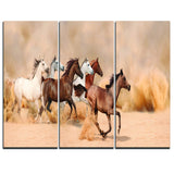herd gallops in sand storm photography canvas art print PT6456