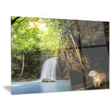 Tiger Watching Waterfall Landscape Photography Canvas Print