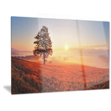 tree and sun landscape photography canvas art print PT6472
