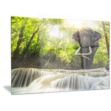 erawan waterfall with elephant photography canvas art print PT6475