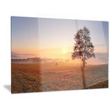 lonely tree at sunset landscape photography canvas print PT6485