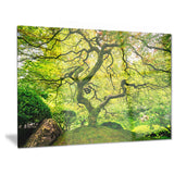 amazing green tree photography canvas art print PT6494