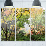 maple tree canopy by bridge photography canvas print PT6495