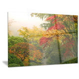 colorful maple trees floral photography canvas print PT6497