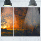 magical light in forest landscape canvas art print PT6525