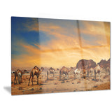 camels in wadi rum photography canvas art print PT6727