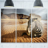 beach zebra animal photography canvas print PT6787