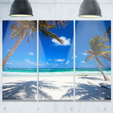 coconut palms at beach photo landscape canvas art print PT6796