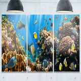 coral colony panorama photography canvas art print PT6806