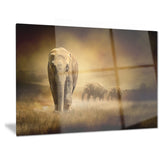 elephants at sunset animal contemporary canvas art print PT6833