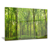 Green Forest Landscape Photo Canvas Art Print