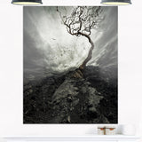 Lonely Tree under Dramatic Sky Landscape Canvas Print