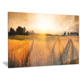 wheat field at sunset panorama photo canvas art print PT6945