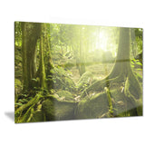 green forest with sun landscape photo canvas print PT6998