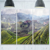 vineyards in italy panoramic photo canvas print PT7011