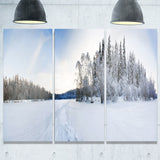 winter field landscape photo canvas art print PT7019