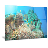 underwater panorama photography canvas art print PT7069