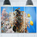 coral scene panorama photo canvas art print PT7083