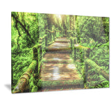 moss around wooden walkway in rain photo canvas print PT7099