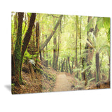rainforest panorama landscape photo canvas print PT7141