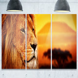 lion portrait on savanna animal photo canvas print PT7153