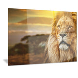 lion and mount kilimanjaro animal digital art canvas print PT7162