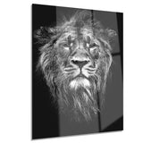 male asiatic lion animal digital art canvas print PT7163