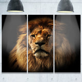 lion portrait with rich mane animal digital art canvas print PT7164