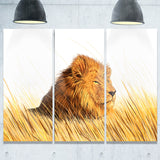lion watching the surroundings animal art canvas print PT7168