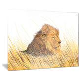 lion watching the surroundings animal art canvas print PT7168