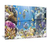 fish in coral reef seascape photography canvas print PT7213