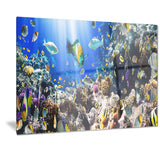 coral colony and coral fish seascape photo canvas print PT7215