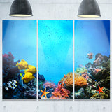 underwater scene seascape photography canvas art print PT7218